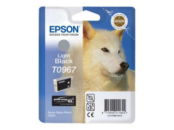 EPSON Singlepack Light Black T096740 EPSON Singlepack Light Black T096740