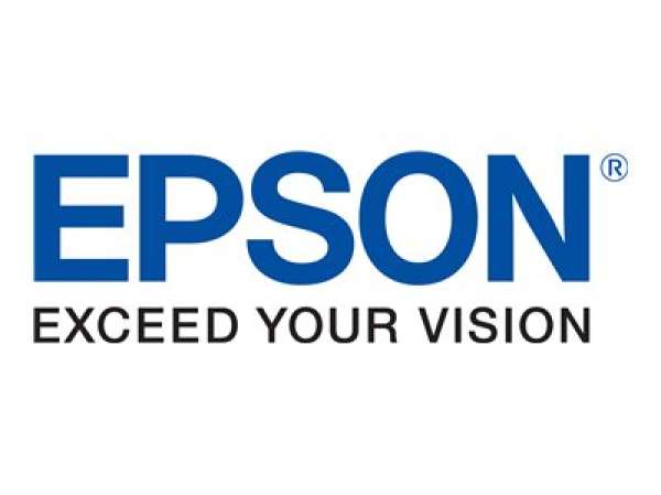 EPSON T6022 ink cartridge cyan standard capacity 110ml 1-pack EPSON T6022 ink cartridge cyan standard capacity 110ml 1-pack