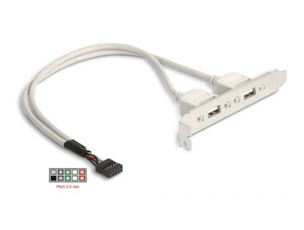 Скоба Delock, За монтаж в PC, USB 10 pin към 2 x USB 2.0 type A