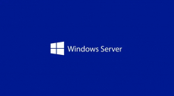 Windows Server CAL 2025 English 1pk DSP OEI 1 Clt Device CAL                          