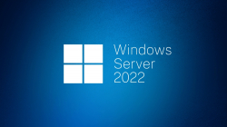 Windows Server CAL 2022 English 1pk DSP OEI 5 Clt Device CAL                          