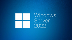 Dell Microsoft Windows Server 2022 Standard, ROK, 16CORE, 2VMs, only to be sold with a DELL PowerEdge Server                          