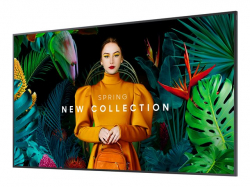 SAMSUNG 43inch UHD/4K 16:9 QH43C Slim-LED 700nits Speakers 2x10W black 3xHDMI 2.0 DP 1.2 USB 2.0 x 2 Ethernet WiFi Dualband BT                          