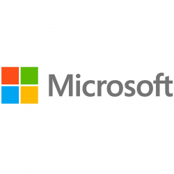 Windows Server CAL 2022 English 1pk DSP OEI 1 Clt User CAL                          