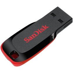 SANDISK Cruzer Blade 128GB USB 2.0 Flash Drive                          